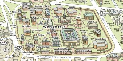 Mapa Harvard university